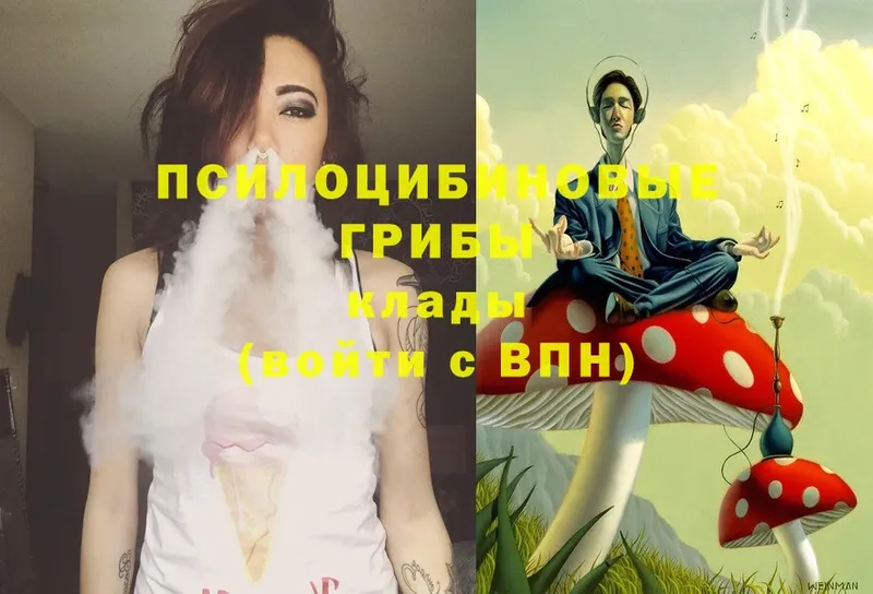 дарк нет какой сайт  Боровск  Галлюциногенные грибы GOLDEN TEACHER 